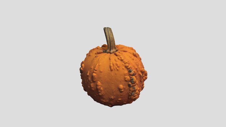 Lumpy Pumpkin 3D Model