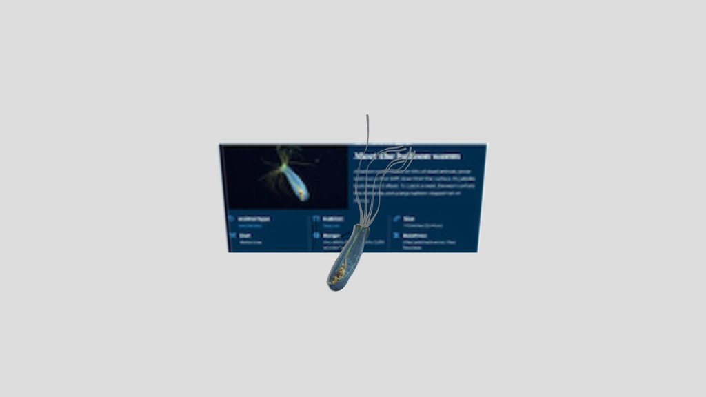 BALLOON WORM POLYCHEAT