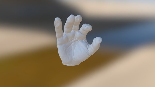 Hand 3D Model