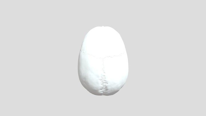 A Humble Test.