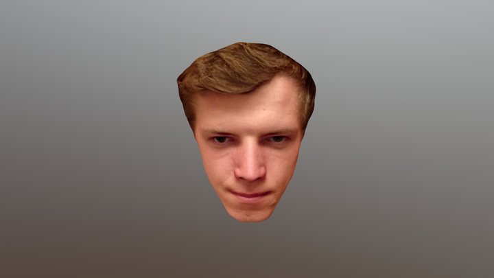 Лицо 3D Model