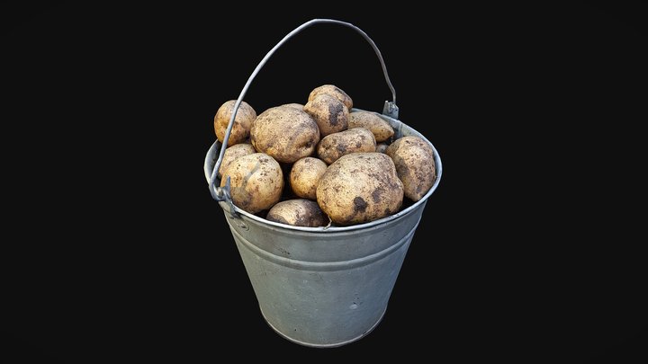 Bucket Of Potatoes 3D Model
