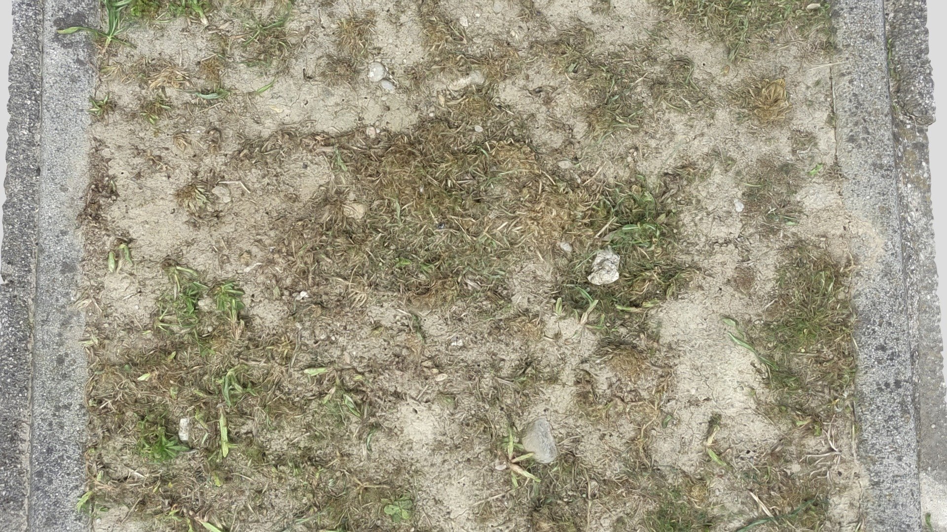3d scan of ground dirt and grass