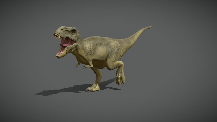 Tyrannosaurus Rex 1.0 3D Model