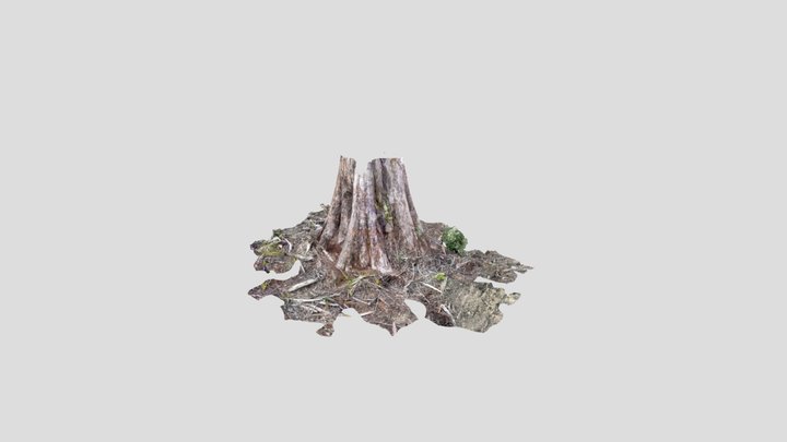 Dn009g 3D Model