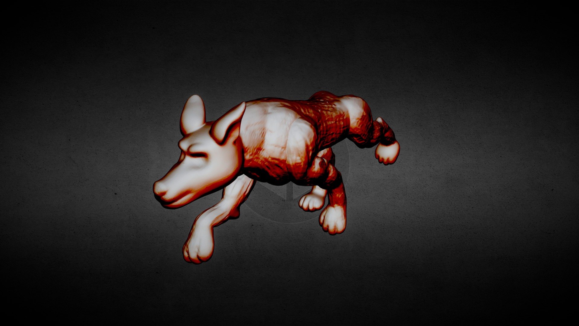 Day12_Paws