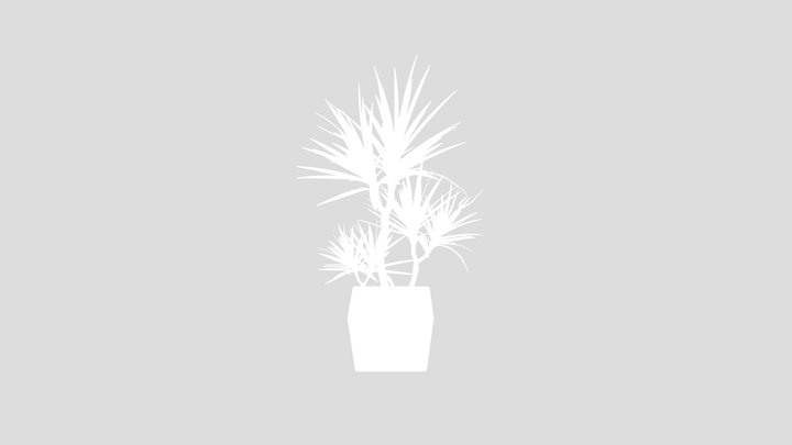 Potted Dracaena – Gratis 3D-model STL
