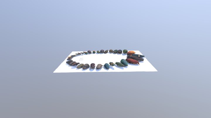 Jewel Beetle Necklace 3D Model