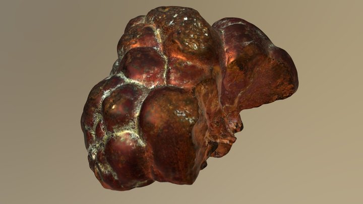 Copper Granule - OpenScan Mini + Macro Add-on