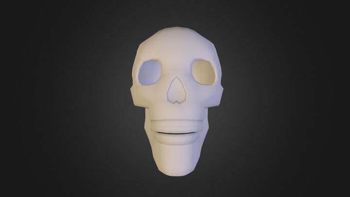 Skull 3D Model