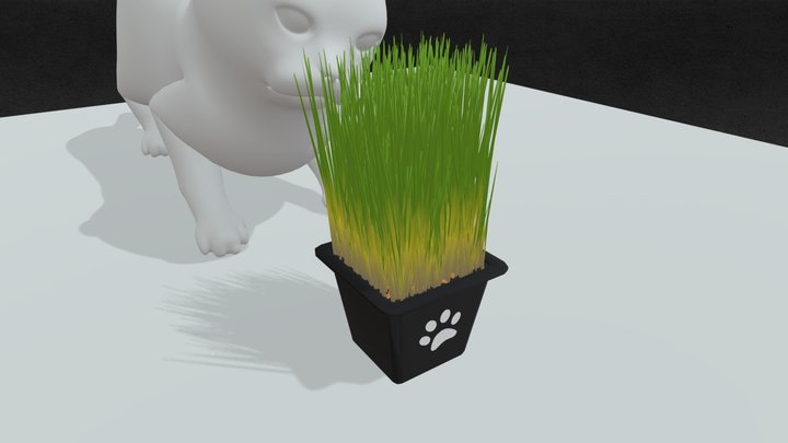 Cat wheatgrass 3D Model