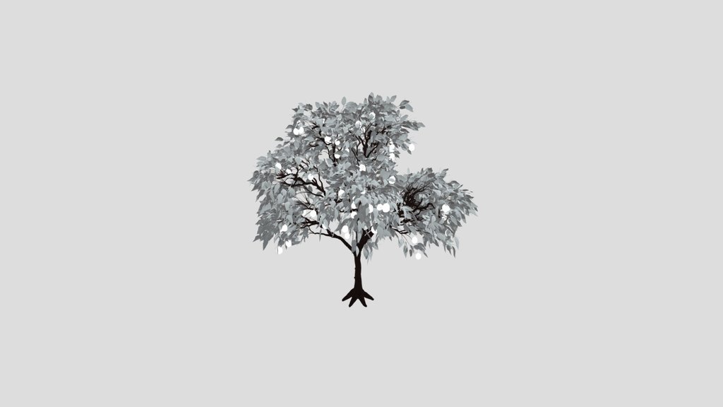 Lemon Tree