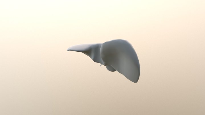 Liver_2 3D Model