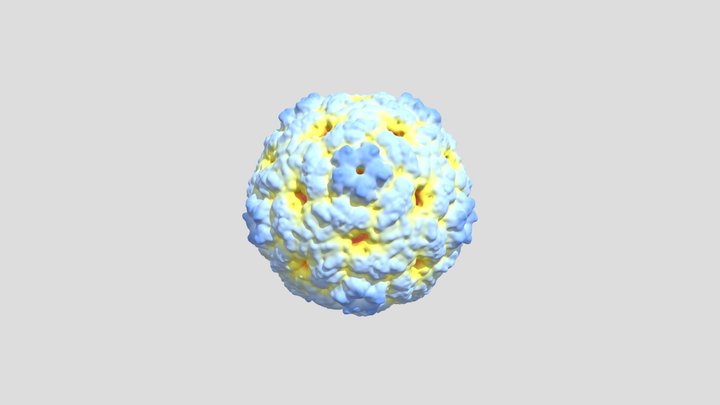virus+ 3D Model