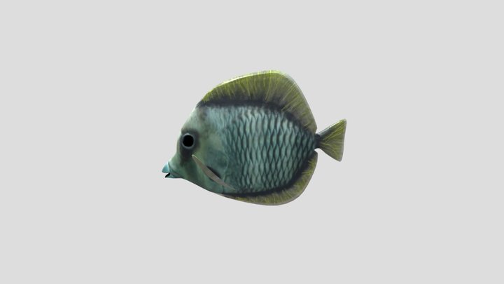 SmithFish 3D Model