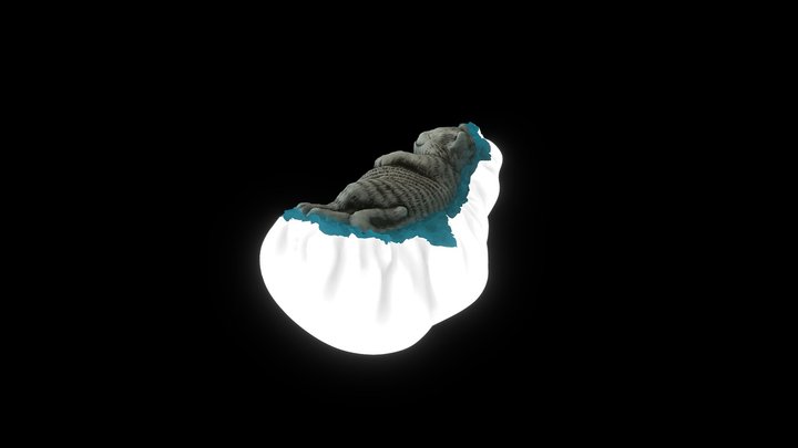 Cat 3D Model