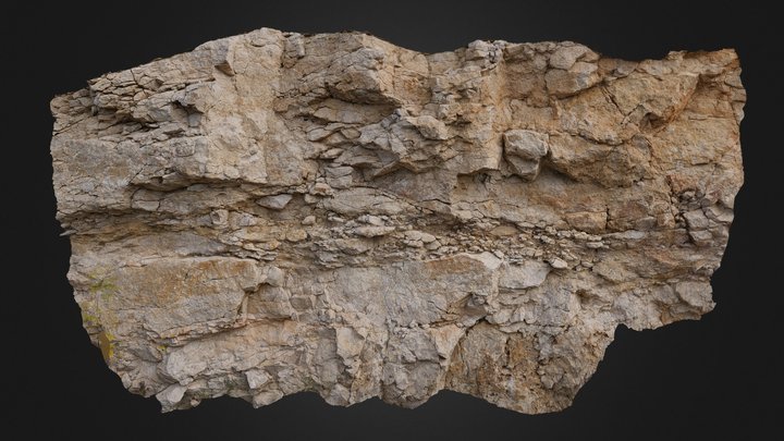 Limestone outcrop 4 3D Model