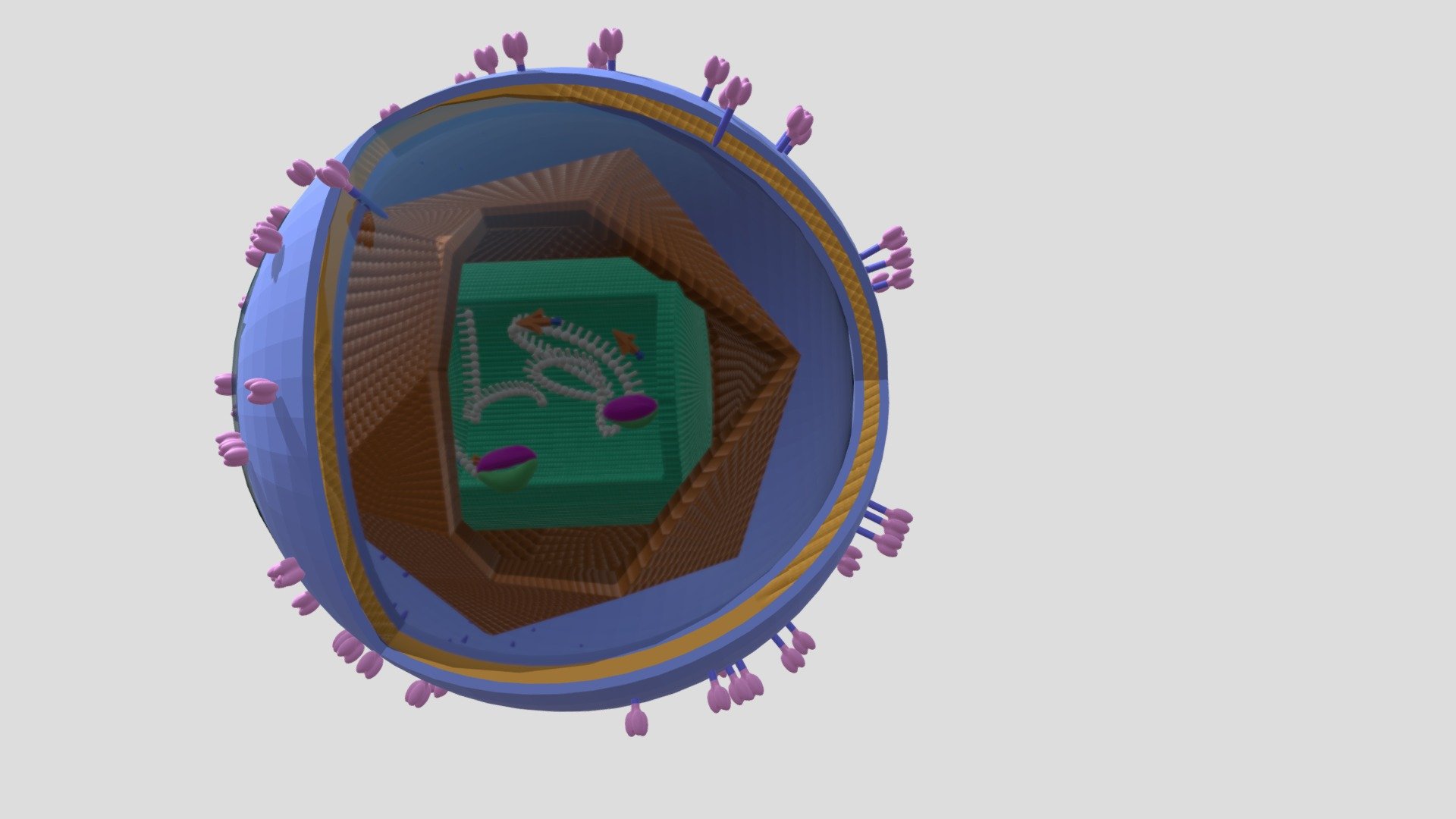 hiv final - 3D model by zoyassweetdreams [10200ab] - Sketchfab
