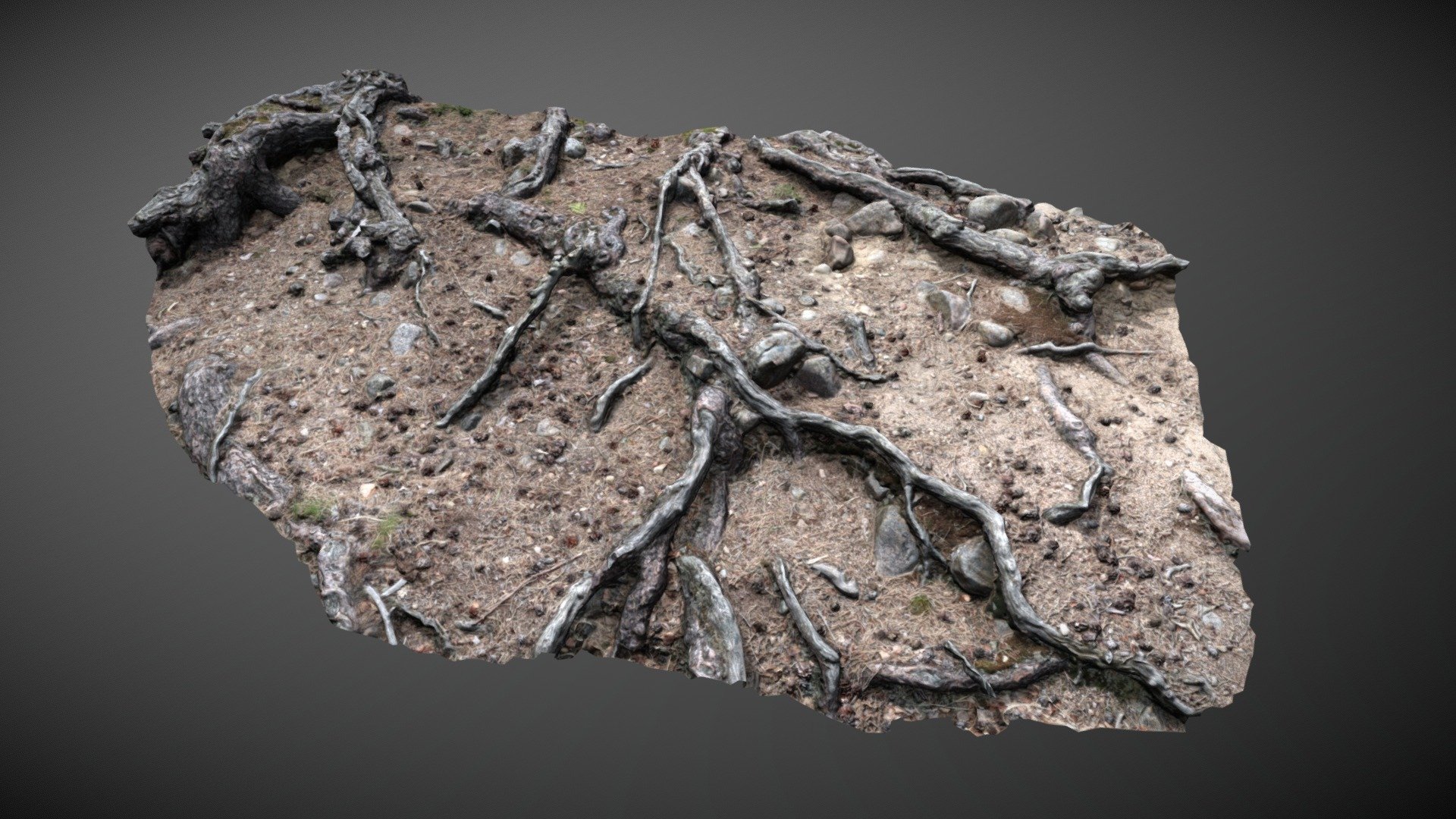 Nature Ground Scan 001 - Buy Royalty Free 3D model by 3drille [10207a6 ...