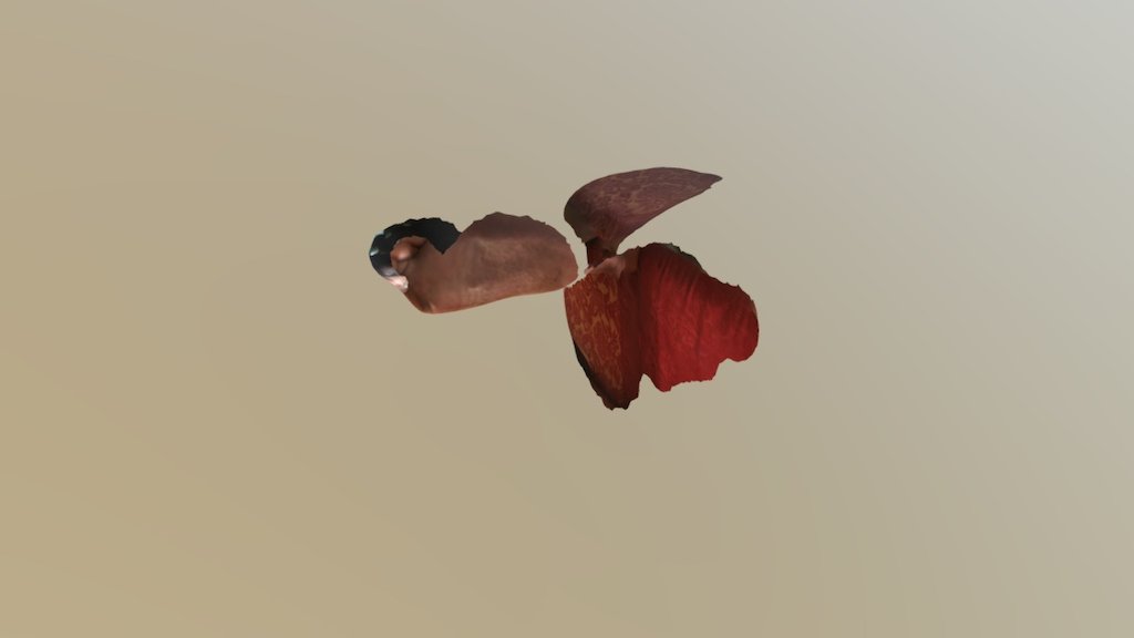 A TRNIO Model