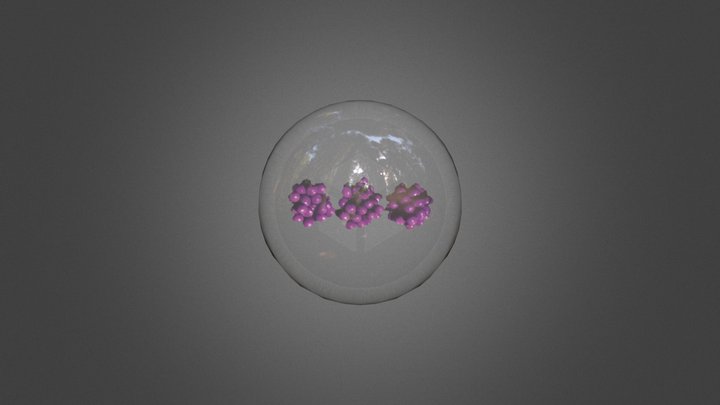 Beauty Berry Bubble 3D Model