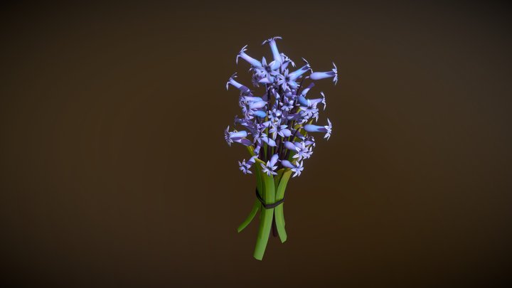 Garden Hyacinth 3D Model