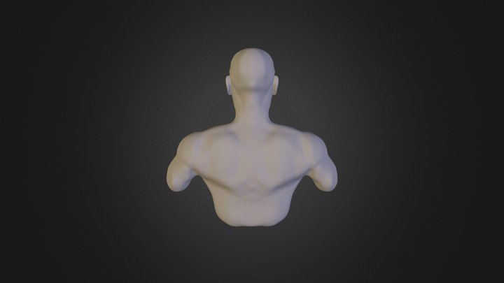 Zbrush Male head and chest in progress 3D Model