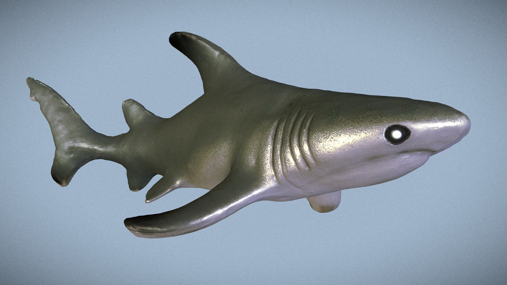 Blacktip Shark toy