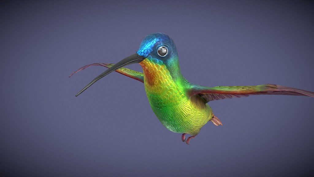 Animated Hovering Flying Hummingbird Loop
