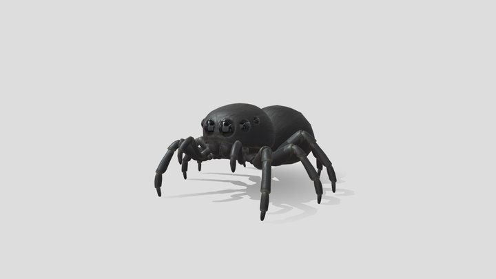 JumpSpider
