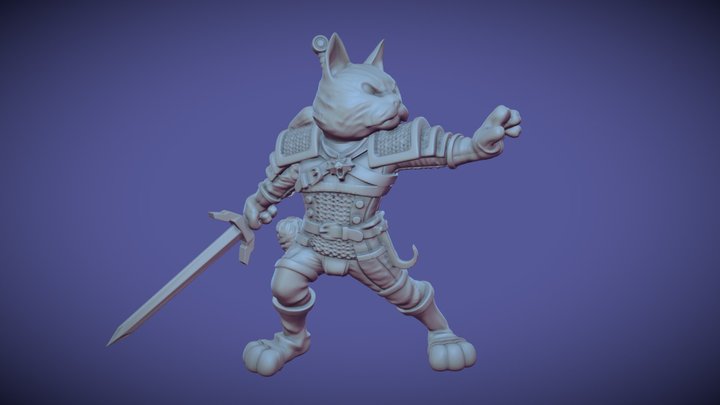 Witcher Cat 3D Model