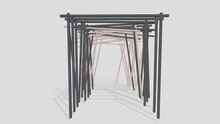 Reductive Structure 3D Model