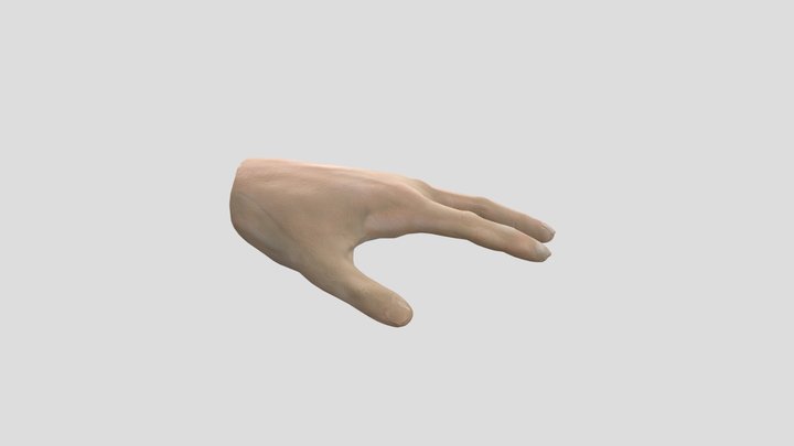 Hand Model 3D Model