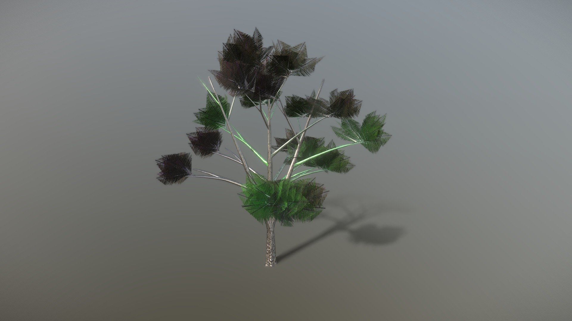 Palm Tree Hibrid [FREE]