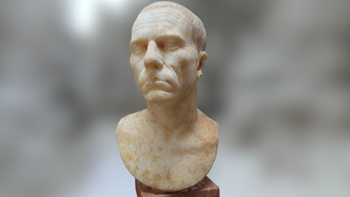 Portrait of a man 3D Model