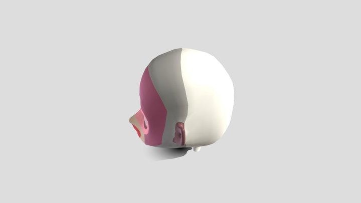 Cabeza 3D Model