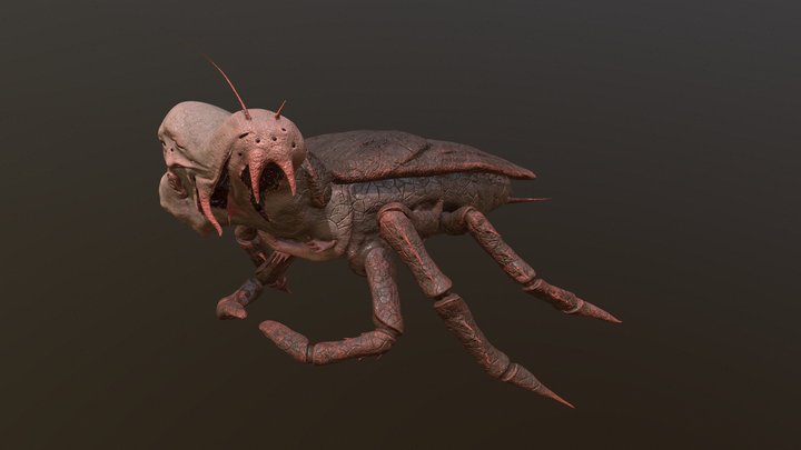 Roach Monster Character design 3D Model