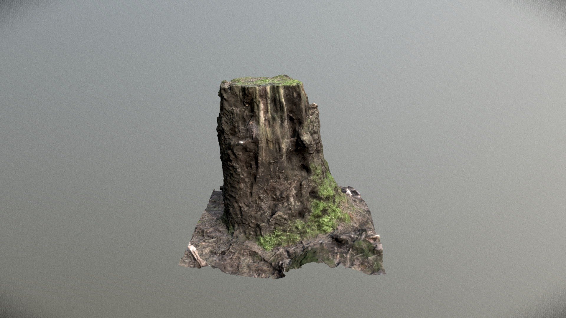 Tree stump with moss