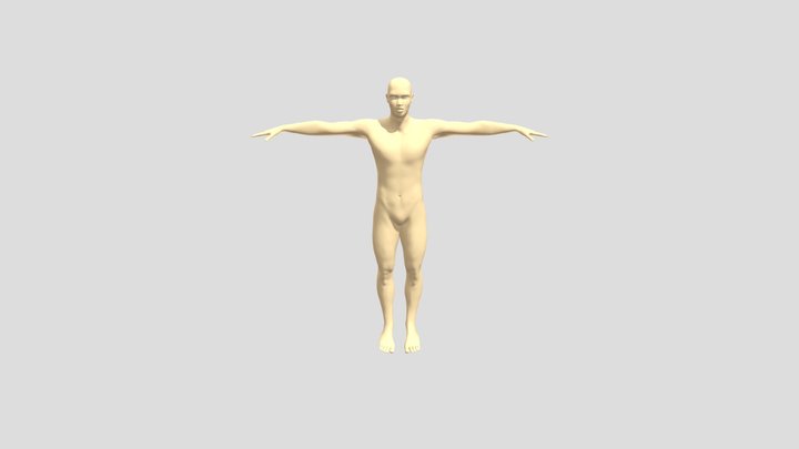 3d-human-base- Minh thanh auto 3D Model