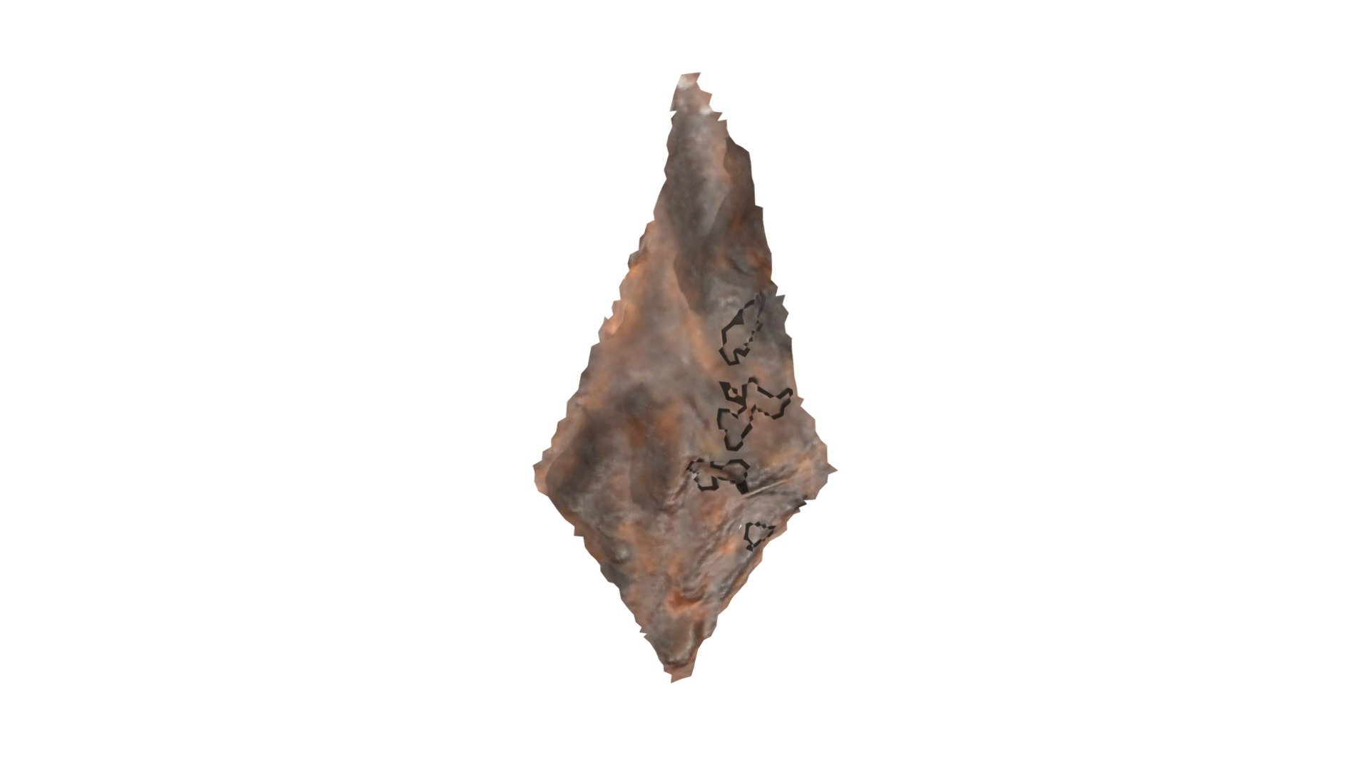 D1 - aurochs MNIR
