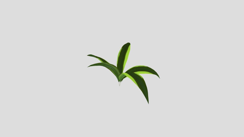 Green Grass Leafs