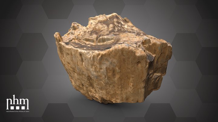 Silicified wood (NHMW-GEO-2024/0188/11590) – Kostenloses 3D-Modell STL