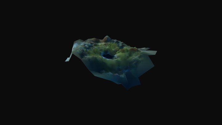 3D Arbacia lixula halo 3D Model