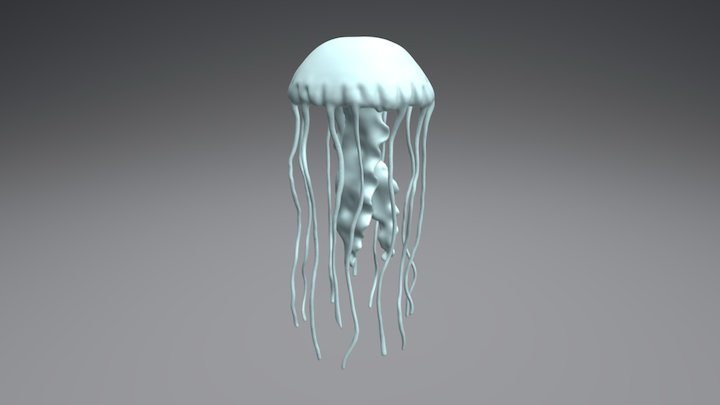 Água Viva - Jelly Fish 3D Model by Caio Teixeira 3D Model