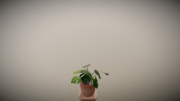 Pot Plant Low 3D Model