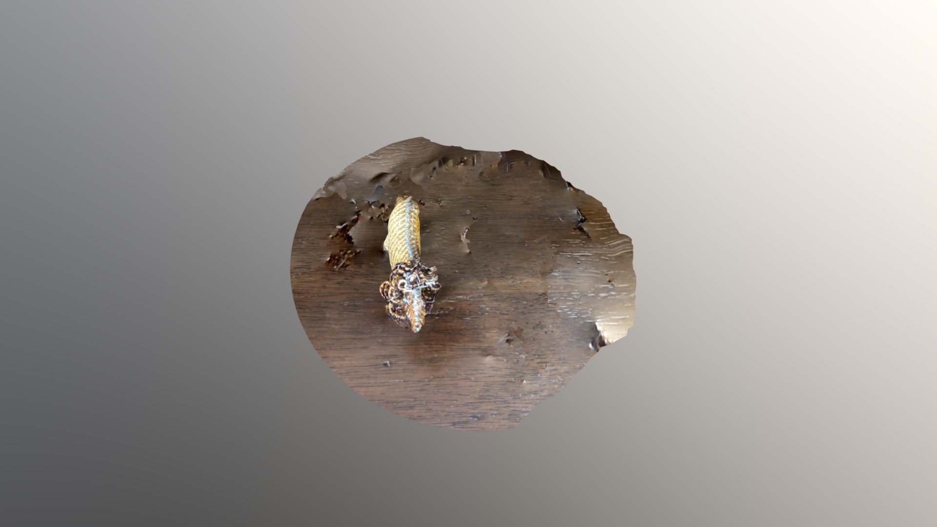 lion ANTH 394 — Sketchfab embed 3D viewer