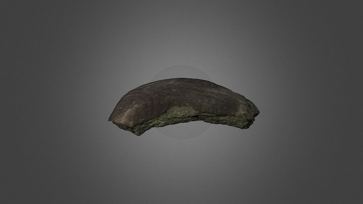 Capeduncola 170 3D Model