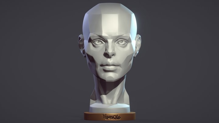 PlaneShapes_Female_Head 3D Model