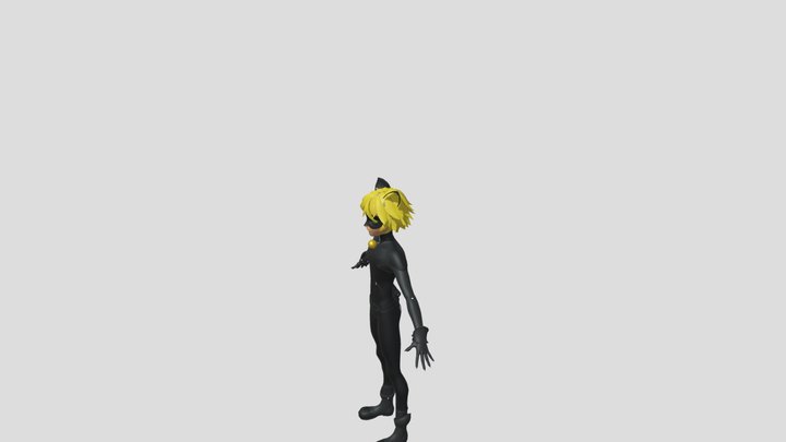 3D model MIRACULOUS LADYBUG - BUG NOIR animated rigged low-poly VR