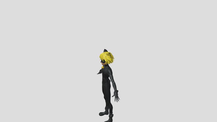 3D model Cat Noir Animated Rigged from Miraculous Ladybug VR / AR /  low-poly